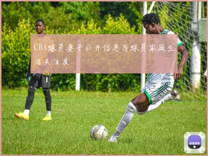 CBA球员妻子公开信息与球员家庭生活关注度