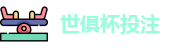 2025世界俱乐部杯